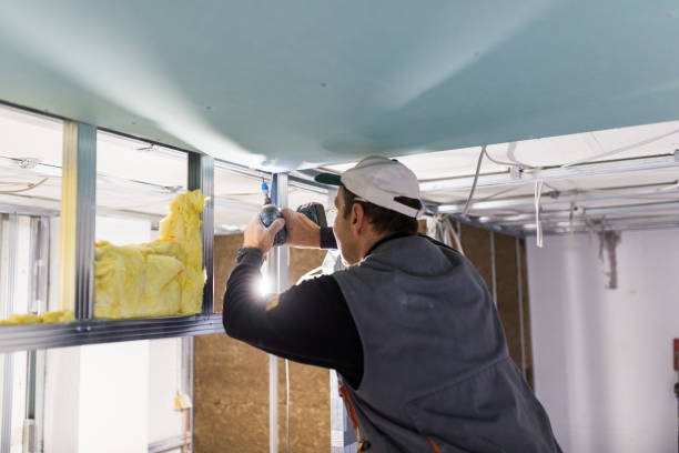Best Specialized Insulation Services in Watertown, FL