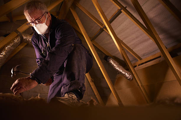 Best Blown-in Insulation in Watertown, FL